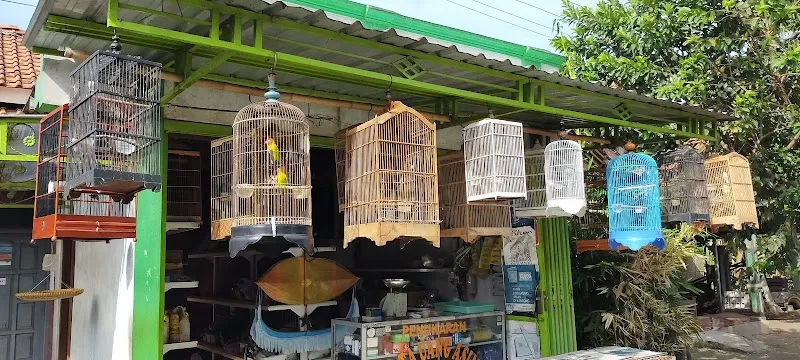 Burung Cilacap: Sena Bird Shop, Tempat Pilihan untuk Penggemar Burung